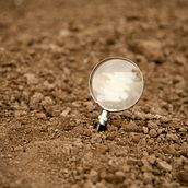 EL MICRORRELATO: El Bisturí del "Menos es Más". Un proyecto de Ilustración tradicional, Cine, vídeo, televisión, Escritura de ficción y Escritura creativa de Irene Golden - 15.05.2022