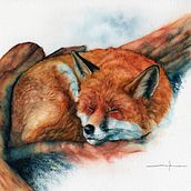 My project for course: Expressive Animal Portraits in Watercolor. Un proyecto de Ilustración tradicional, Pintura a la acuarela, Dibujo realista e Ilustración naturalista				 de Layla Ullrich - 15.05.2022