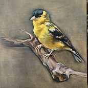 Oil painting and watercolours . Un proyecto de Ilustración tradicional y Bellas Artes de sally_jc - 15.05.2022