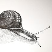 Meu projeto do curso: Ilustração surrealista com caneta fineliner. Un projet de Illustration traditionnelle, Dessin au cra, on, Dessin, Dessin réaliste, Dessin artistique et Illustration à l'encre de Pedro Correia - 16.05.2022