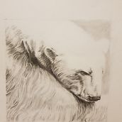 Pencil Drawings Part 2. Traditional illustration project by Kevin Walsh - 05.16.2022