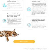Bongo Site. UX / UI, Design, and Web Design project by carlos_equiz98 - 05.18.2022