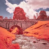 Mi proyecto del curso: Fotografía infrarroja: captura el mundo de lo invisible. Un progetto di Fotografia, Ritocco fotografico, Fotografia digitale, Fotografia all'aperto, Fotografia architettonica e Teoria del colore di Ricardo Moreno Cortes - 18.05.2022