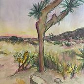 Joshua Tree. Traditional illustration, and Watercolor Painting project by Farra Coleman - 05.19.2022