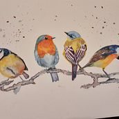 Mi proyecto del curso: Acuarela artística para ilustración de aves. Un progetto di Pittura ad acquerello di Teresa - 19.05.2022