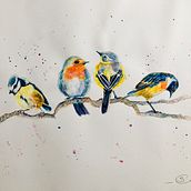 My project for course: Artistic Watercolor Techniques for Illustrating Birds. Un proyecto de Ilustración tradicional, Pintura a la acuarela, Dibujo realista e Ilustración naturalista				 de sally_jc - 19.05.2022