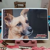 Mi proyecto del curso: Introducción al fotobordado: crea imágenes con textura. Un proyecto de Fotografía, Papercraft, Bordado, DIY y Diseño textil de Eugenia Hurtado Ramírez - 20.05.2022