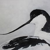 Acrylic Bird painting. Un progetto di Pittura acrilica di Claudi Lourens - 21.05.2022