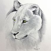 My project for course: Expressive Animal Portraits in Watercolor. Traditional illustration, Realistic Drawing, Naturalistic Illustration, and Watercolor Painting project by Regina Go - 05.22.2022
