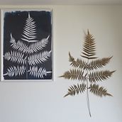 My project of cyanotype. Arts, Crafts, Fine Arts, Printing, DIY, and Film Photograph project by Tsui-Han Lai - 05.21.2022