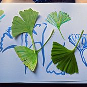 My project for course: Illustrating Nature: A Creative Exploration. Traditional illustration, Painting, Drawing, Watercolor Painting, Ink Illustration, and Naturalistic Illustration project by astridcoxon - 05.24.2022