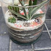 Mi proyecto del curso: Arte vegetal: crea tu propio terrario abierto. Un progetto di Interior design, Paesaggismo, Interior Design, DIY e Design floreale e vegetale di lopezap - 24.05.2022