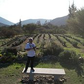 Campo de Lavandas. L, and scape Architecture project by davidtoro_herrera - 05.25.2022