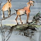 Mein Kursprojekt: Natur-Illustration: Eine kreative Erkundungsreise. Traditional illustration, Painting, Drawing, Watercolor Painting, Ink Illustration, and Naturalistic Illustration project by Helma Wunderlich - 05.27.2022