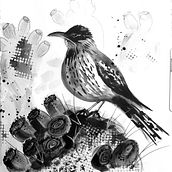 My project for course: Illustrating Nature: A Creative Exploration. Un proyecto de Ilustración tradicional, Pintura, Dibujo, Pintura a la acuarela, Ilustración con tinta e Ilustración naturalista				 de Julina Cane - 26.05.2022
