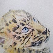Mi proyecto del curso: Retratos expresivos de animales en acuarela Ein Projekt aus dem Bereich Traditionelle Illustration, Aquarellmalerei, Realistische Zeichnung und Naturalistische Illustration von Alfredo Esteban Salazar Borja - 29.05.2022
