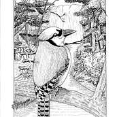 Mi proyecto del curso: Ilustración con tinta y plumilla: captura el mundo natural. Esboçado, Desenho, Desenho artístico, Sketchbook, Ilustração com tinta e Ilustração naturalista projeto de Alejandro Arturo Villeda Vázquez - 01.06.2022