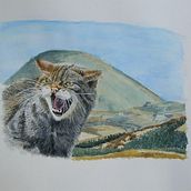 My project for course: Expressive Animal Portraits in Watercolor. Watercolor Painting project by Bobby Kelly - 05.08.2022