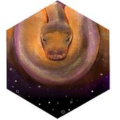 Reptiles series in Hexaflexagon. Traditional illustration project by Tina Myers - 05.30.2022