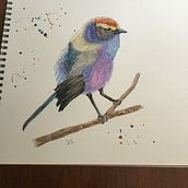 My project for course: Artistic Watercolor Techniques for Illustrating Birds. Un progetto di Illustrazione tradizionale, Pittura ad acquerello, Disegno realistico e Illustrazione naturalistica di childscheryl - 31.05.2022