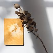 Encuadernaciones Sostenibles. Un progetto di Artigianato e Rilegatura di Carolinda Primus - 31.05.2022