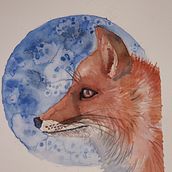 Mein Kursprojekt: Ausdrucksstarke Tierporträts in Aquarell. Un progetto di Illustrazione tradizionale, Pittura ad acquerello, Disegno realistico e Illustrazione naturalistica di friedemitliebe - 31.05.2022
