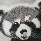 Panda rojo a carboncillo. Projekt z dziedziny  R, sunek, R, sunek ołówkiem, R, sunek realist i czn użytkownika Lina Barahona - 01.06.2022