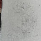 Tiger-My project for course: Expressive Animal Portraits in Watercolor. Un projet de Illustration traditionnelle, Aquarelle, Dessin réaliste et Illustration naturaliste de sue_tempest - 01.06.2022