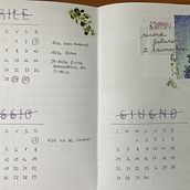 Il mio progetto del corso: Bullet journal creativo: pianificazione e creatività . Traditional illustration, Lettering, Drawing, H, Lettering, Management, and Productivit project by alicepagani.94 - 06.02.2022