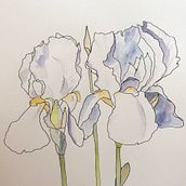 Mon projet du cours : Carnet de croquis botanique : une approche méditative. Traditional illustration, Sketching, Drawing, Watercolor Painting, Botanical Illustration, and Sketchbook project by Ольга Опанасенко - 06.03.2022