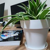 Mi proyecto del curso: Fotografía profesional para Instagram . % Verónica Felguera tarafından hazırlanan Reklamcılık, Fotoğrafçılık, Pazarlama, Sos, al Med, a, Mobil Fotoğrafçılık, Ürün Fotoğrafçılığı, Mobil Pazarlama, Instagram, Instagram Fotoğrafçılığı, Ve Yaşam Tarzı Fotoğrafçılığı projesi - 06.03.2022