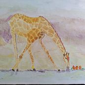 My project for course: Illustrating Nature: A Creative Exploration. Un progetto di Illustrazione tradizionale, Pittura, Disegno, Pittura ad acquerello, Illustrazione con inchiostro e Illustrazione naturalistica di d.demorree - 03.06.2022