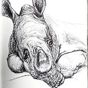 Mein Kursprojekt: Kugelschreiber-Illustration im Skizzenbuch: Aus Fehlern lernen. Sketching, Drawing, Sketchbook & Ink Illustration project by Tina - 06.03.2022