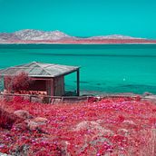My project for course: Infrared Photography: Capture the World of the Invisible. Projekt z dziedziny Fotografia, Retuszowanie fotografii, Fotografia c, frowa,  Fotografia plenerowa, Fotografia architektur i Teoria barw użytkownika Silvia Napolitano - 05.06.2022