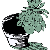 Cacti. Traditional illustration project by Rachael Kay - 06.05.2022