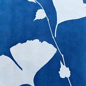 My project for course: Cyanotype: Printing with Light. Arts, Crafts, Fine Arts, Printing, DIY, and Film Photograph project by Veronica Lam - 06.01.2022