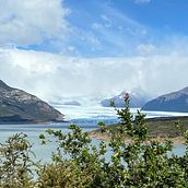 Mi proyecto del curso: Fotografía para principiantes: descubre tu cámara digital. Un proyecto de Fotografía, Fotografía digital y Composición fotográfica de Florencia Melani Saiegh - 06.06.2022