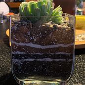 Arte Vegetal Jorge Salas. Interior Design, L, scape Architecture, Decoration, DIY, Floral, and Plant Design project by jorgesalas - 06.04.2022