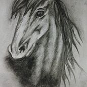 Ilustraciones realizadas. Een project van Traditionele illustratie van mariafarias_to - 07.06.2022