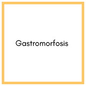 Gastromorfosis . % Santiago Torres Z tarafından hazırlanan Podcasting, Ve Yemek Fotoğrafçılığı projesi - 06.07.2022