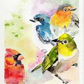 My project for course: Artistic Watercolor Techniques for Illustrating Birds. Traditional illustration, Watercolor Painting, Realistic Drawing, and Naturalistic Illustration project by Steph Contreras - 06.07.2022