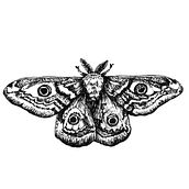 Mon projet du cours : Clés pour créer un portfolio d’illustrations professionnel. Un progetto di Illustrazione tradizionale, Gestione di un portfolio, Management e produttività di Chine Seston - 09.06.2022