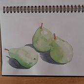 My project for course: Illustrating Nature: A Creative Exploration. Traditional illustration, Painting, Drawing, Watercolor Painting, Ink Illustration, and Naturalistic Illustration project by helen2022 - 06.09.2022