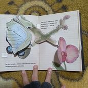 Meu projeto do curso: Livros pop-up interativos: crie mundos de papel. Arts, Crafts, Editorial Design, Paper Craft, Bookbinding, and Creating with Kids project by Cindy Guedes Reis - 06.10.2022
