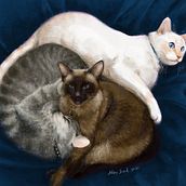 Trio of Cats. Un projet de Illustration traditionnelle de Alex Bond - 10.06.2022