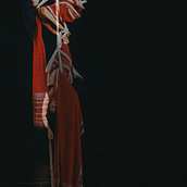 Hunting wild ideas: the process of becoming a mutant of the genealogic tree.. Projekt z dziedziny Fotografia użytkownika Shaheen Saliahmohamed - 10.06.2022