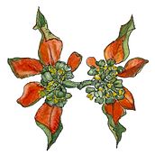 Playing with pattern . Botanical Illustration project by Barbara Ewing - 06.11.2022