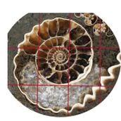 My project for course: Introduction to Mosaic Artwork . % Susan tarafından hazırlanan Sanat ve El Sanatları, Mobil, a Tasarımı ve Yapımı, Dekoras, on, Seramikler, Ve Kendin Yap projesi - 06.12.2022