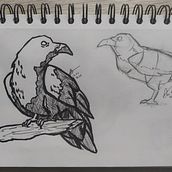 My project for course: Daily Sketching for Creative Inspiration. Projekt z dziedziny Trad, c, jna ilustracja, Sketching, Kreat, wność,  R, sunek i Sketchbook użytkownika Andżelika Madeła - 12.06.2022