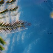 Catch the Grain. Un progetto di Fotografia di Maryna Piskovets - 13.06.2022